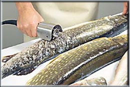 Рыбочистка KT-S