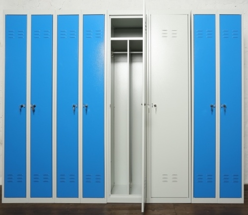 Шкаф для одежды ЦЕРЕРА ШР22 L600