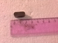 Штифт ITPIZZA для M/SK/20/30/40 8х20 5L500037