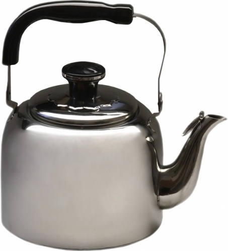 Чайник 5 л [RGS-4608] кт1128