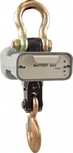 Весы крановые CAS 2THA