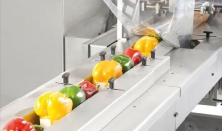 Горизонтальная упаковочная машина HUALIAN DXDZ-250B (окраш. корпус, фотометка) фото