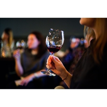 Шкаф винный CASO WineDeluxe E 18 фото