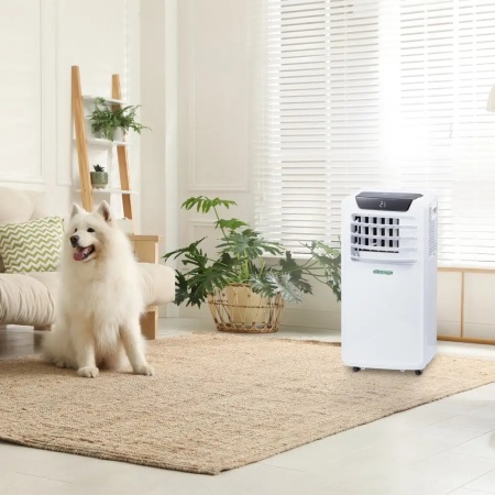 Мобильный кондиционер AC Electric ACE-09 CY/N6 фото