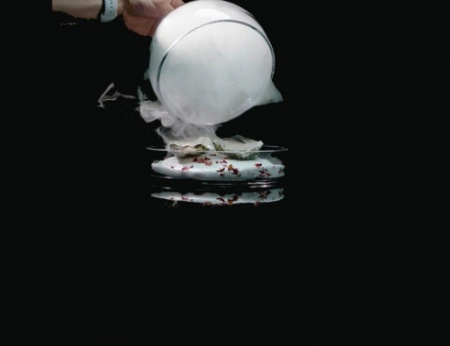 Ручной аппарат для копчения THE SMOKING GUN PRO GSM700PSS0NUK1 фото