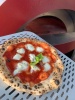 Печь для пиццы на дровах ALFA PIZZA Allegro фото