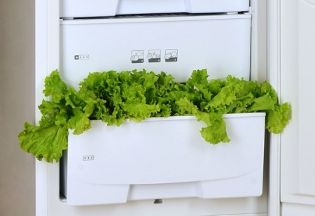 Шкаф комбинированный POZIS RD-149 А белый фото