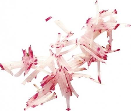 Набор дисков ROBOT COUPE 1945 CL30/CL40 фото