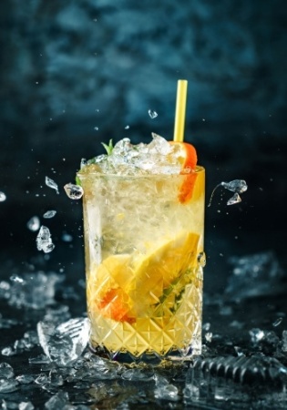 Измельчитель льда CEADO V90 фото